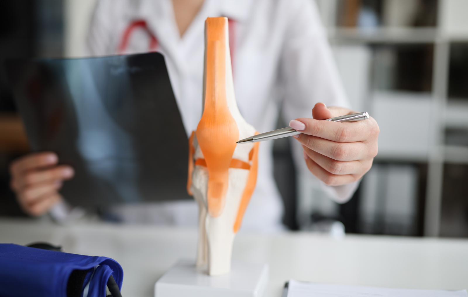 Unsere Expertise auf einen Blick